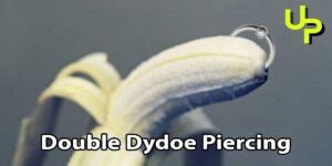 what is a double dydoe|What Is Dydoe Piercing – Everything You Should Know